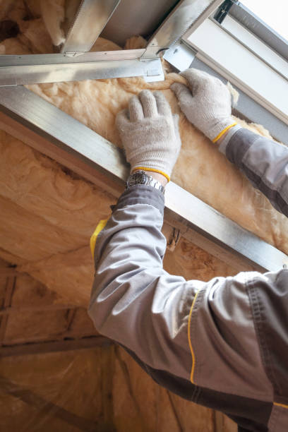 Best Insulation Maintenance and Repair in Chardon, OH