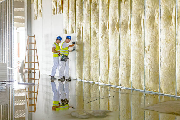 Best Geographic-Specific Insulation Services in Chardon, OH